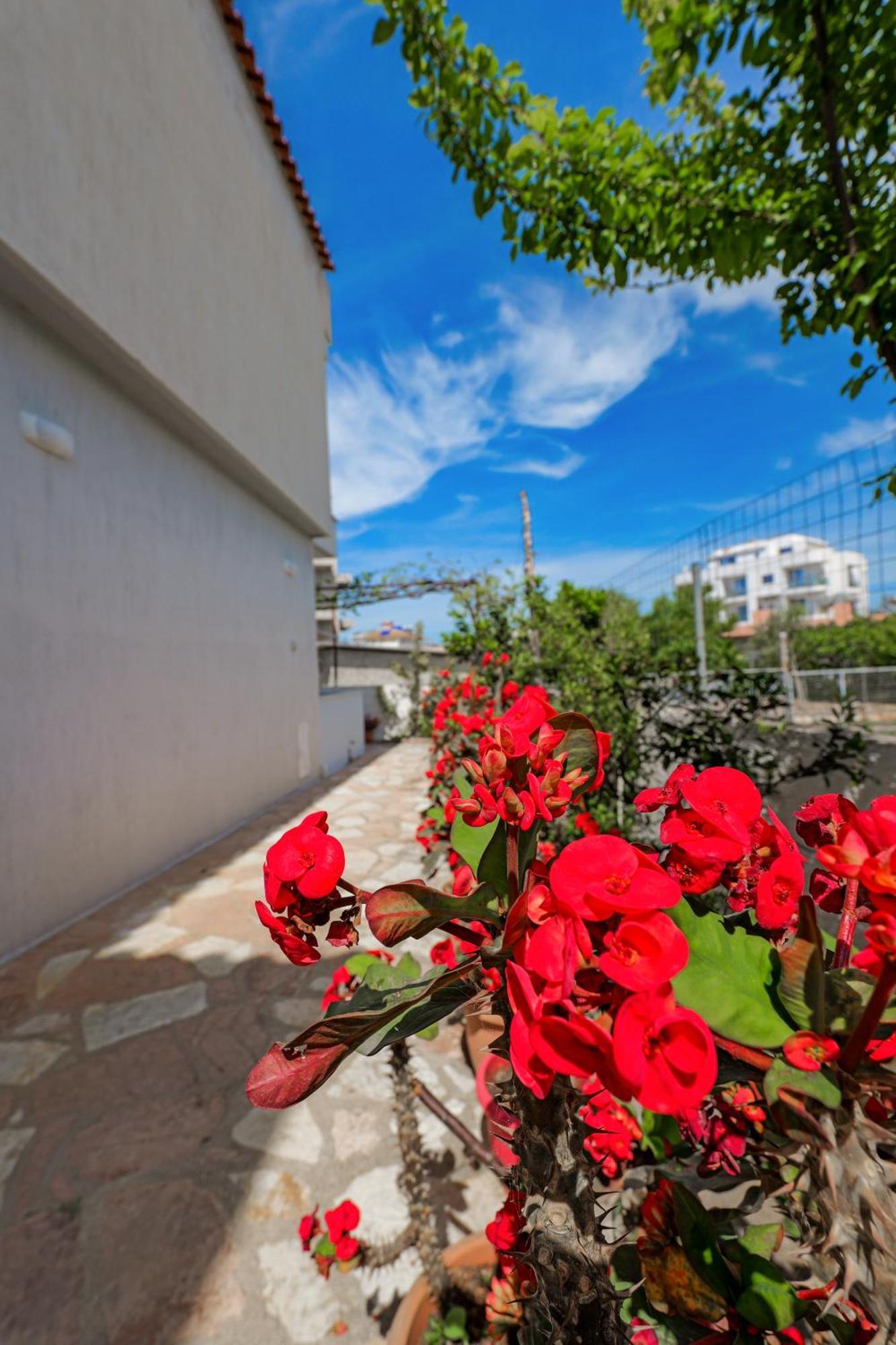Guest House Moonlight Ksamil Bagian luar foto